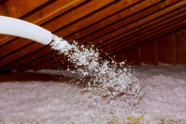 Best Commercial Insulation in Clarksville, TX