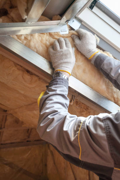 Best Residential Insulation in Clarksville, TX